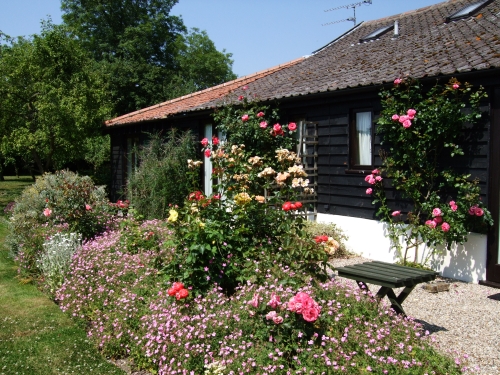 Barn Cottages